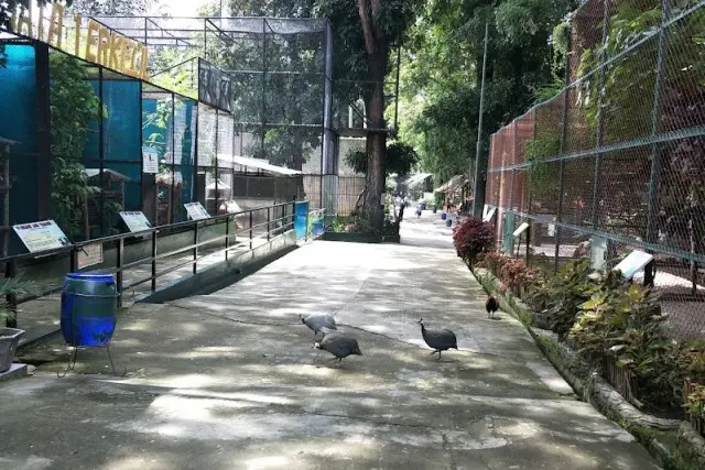 Kebun Binatang Pematangsiantar