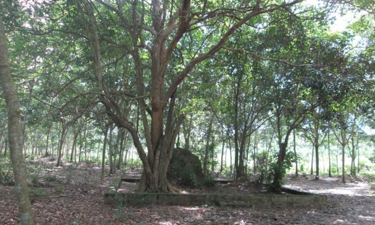 Prasasti Tapak Tuan Rizal