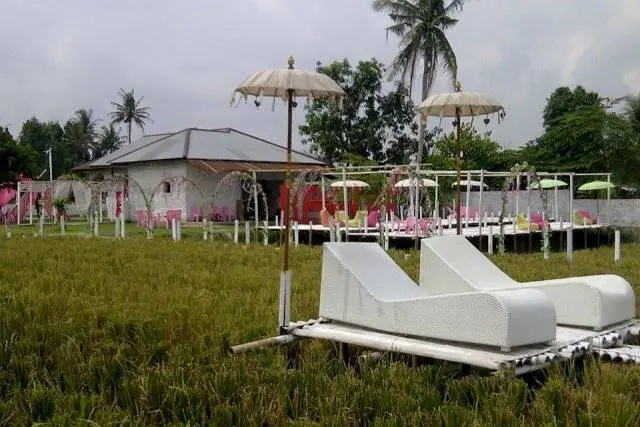 Romance Padi di Serdang Bedagai