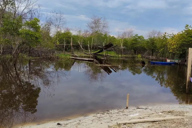 Suaka Margasatwa Kerumutan