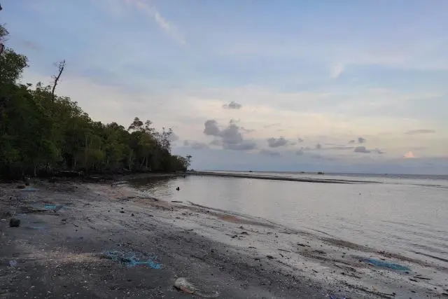 Taman Nasional Sembilang