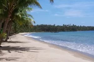 Tempat Wisata di Nias Selatan Terbaru