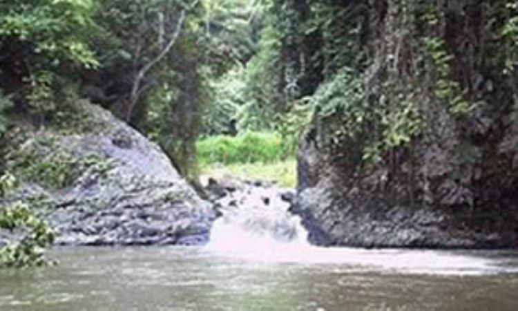 Air Panas Desa Tempel Rejo