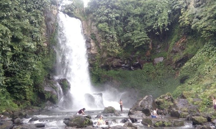 Image Credit: Trepelin.com