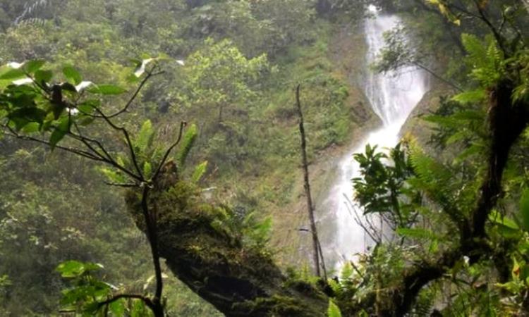 Air Terjun Lubuk Resam