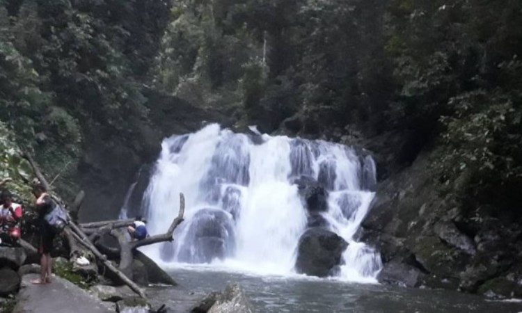 Air Terjun Narso