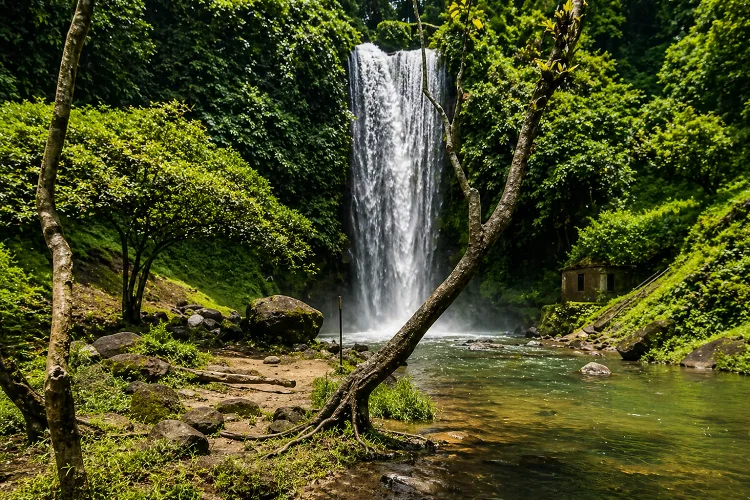 Air Terjun Renah