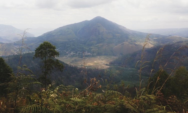 Bukit Barisan Kuro Tidur