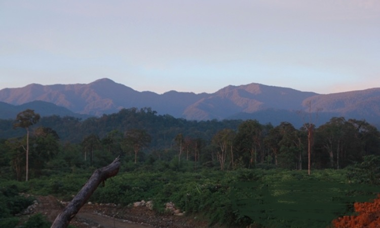 Bukit Raje Mandare
