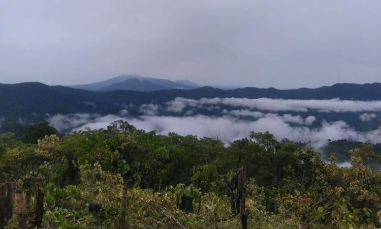 Bukit Tempurung Garden