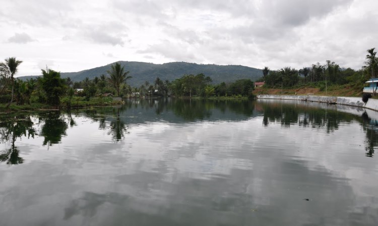 Danau Bermanei