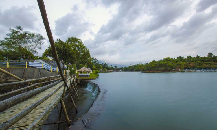 Danau Picung