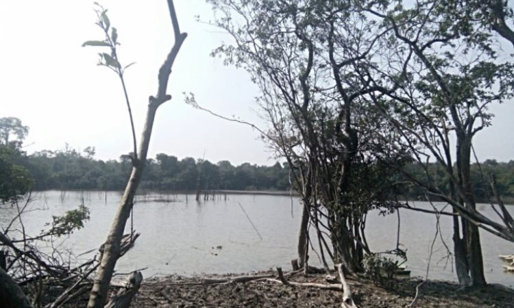 Danau Puri Indah