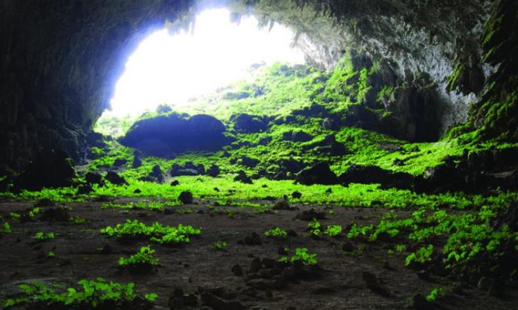 Gua Suruman Kedurang