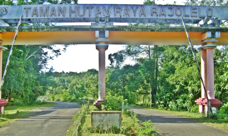 Hutan Raya Rajo Lelo