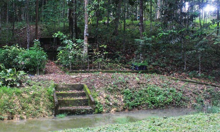 Kebun Raya Bukit Sari