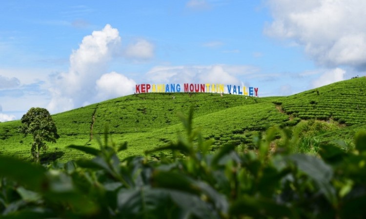 Kepahiang Mountain Valley