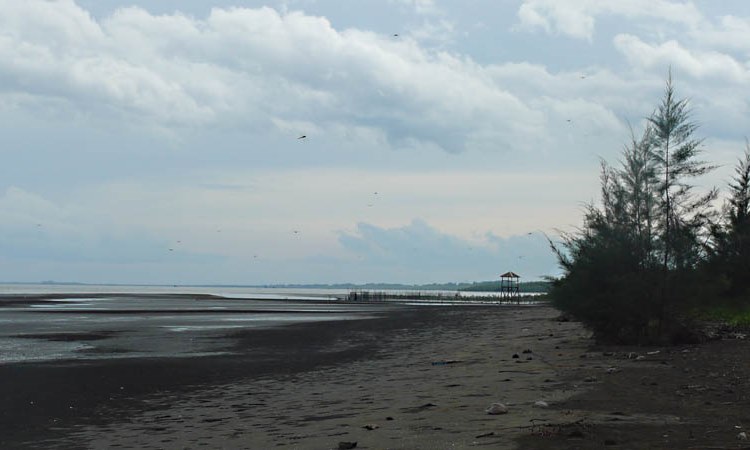 Pantai Cemara