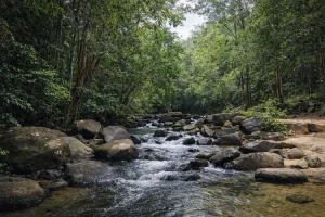Wisata Alam Batu Mentas Belitung: Surga Tersembunyi di Kaki Gunung Tajam yang Wajib Masuk Bucket List!