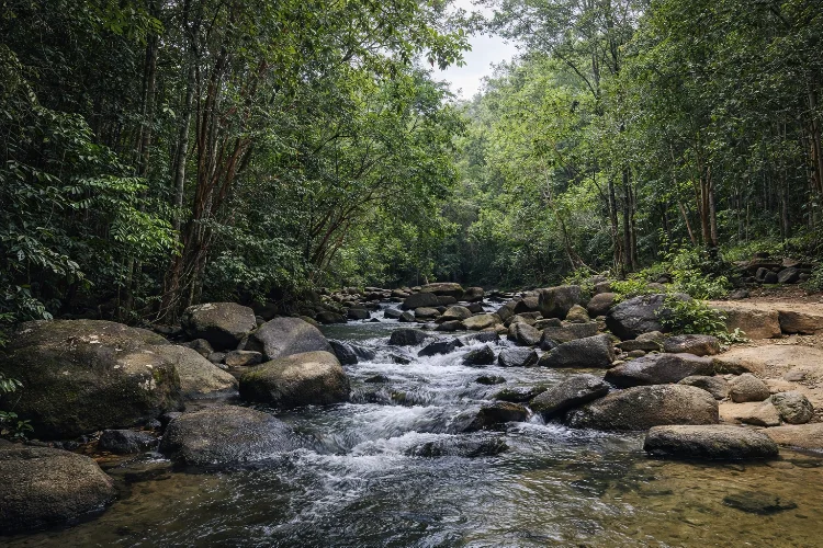 Wisata Alam Batu Mentas Belitung: Surga Tersembunyi di Kaki Gunung Tajam yang Wajib Masuk Bucket List!