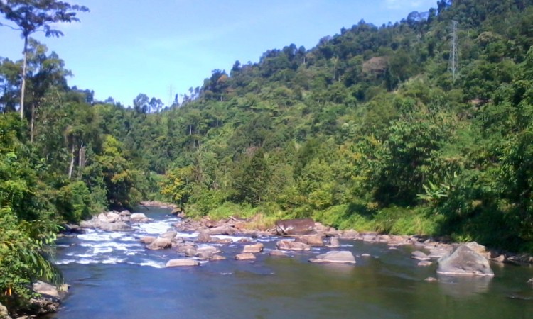 Image Credit: Fahryalamsyah.blogspot.com