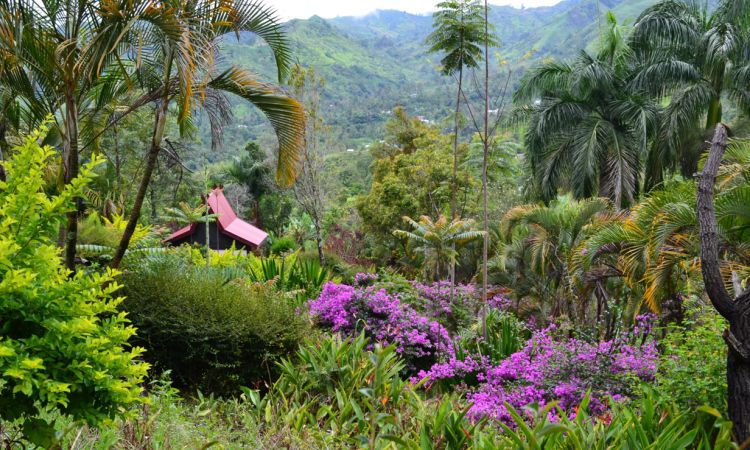 Taman Bunga Puti Senang