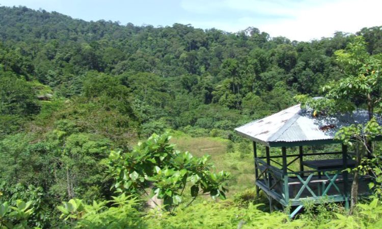 Taman Nasional Bukit 30