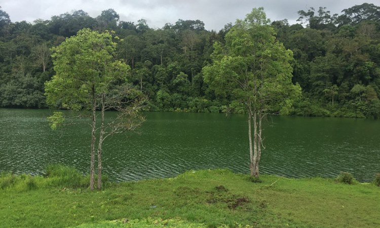 Taman Nasional Bukit Duabelas
