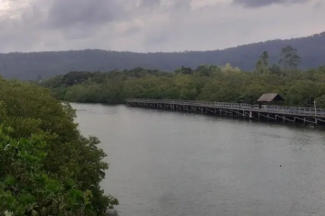 Wisata Mangrove Semitan