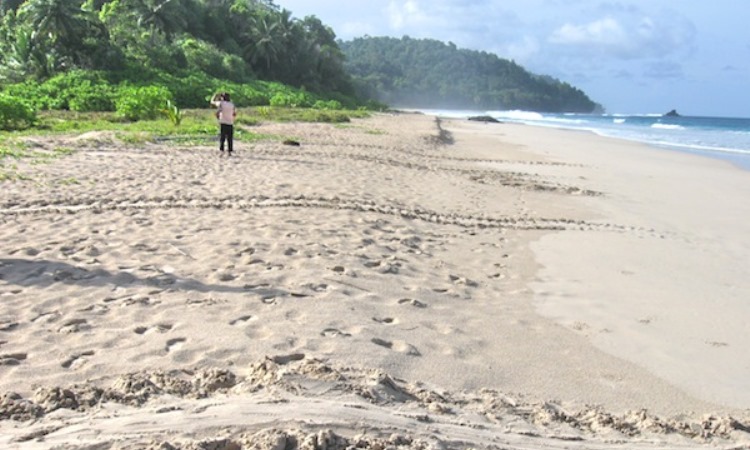 Pantai Amandangan