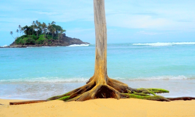 Pantai Kuala Geulumpang