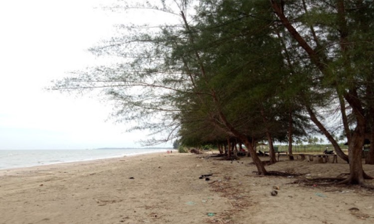 Pantai Paya Bili