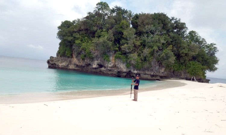 Pulau Mincau
