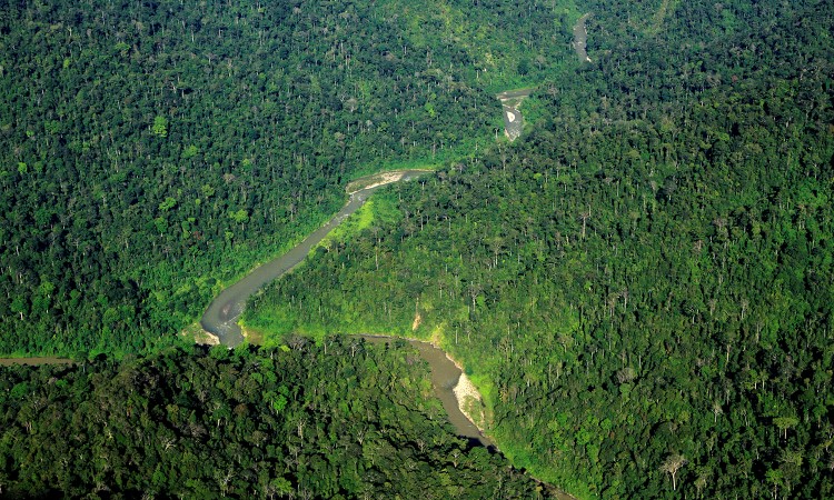 Taman Nasional Gunung Leuser