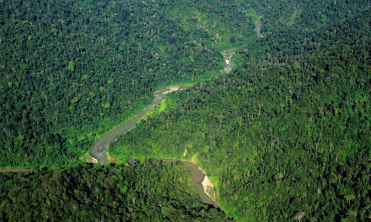 Taman Nasional Gunung Leuser