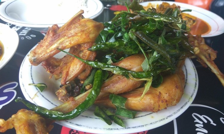 Tempat Makan Ayam Pramugari