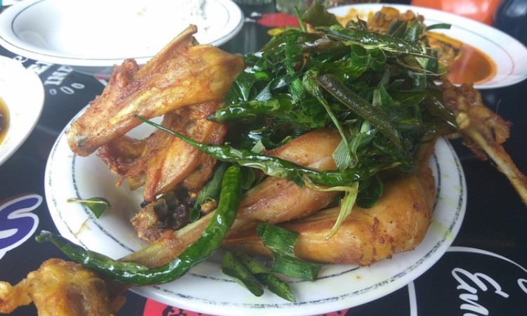 Tempat Makan Ayam Pramugari