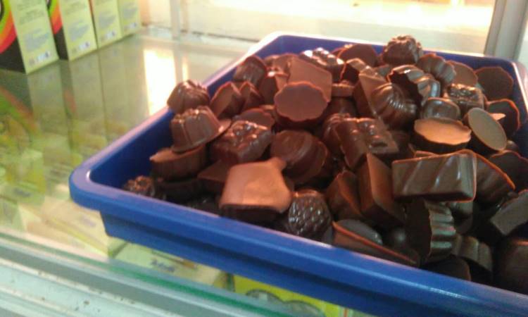 Cokelat Adam Malibou Khas Kota Pariaman