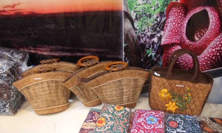 Kerajinan dari Kulit Lantung