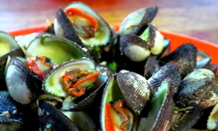 Kerang Bulu