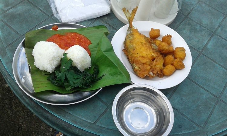 Nasi Sala