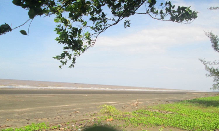 Pantai Remau Baku Tuo