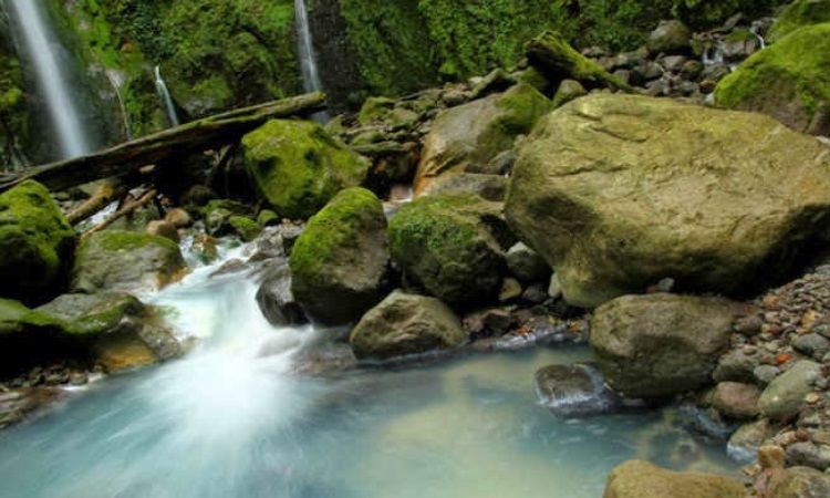Cagar Alam Sibolangit, Sumatera Utara