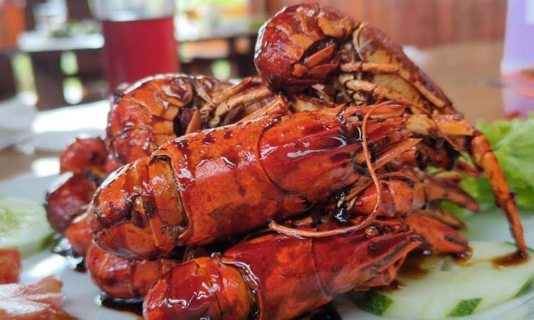 Waroenk Pinus Damasus