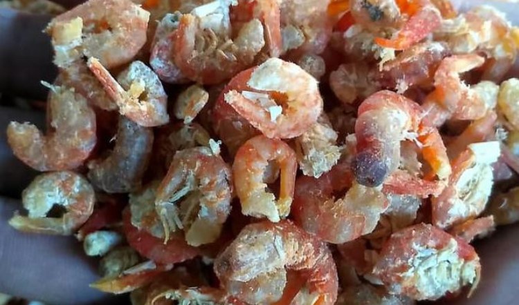 Ebi Udang Kering Khas Sibolga