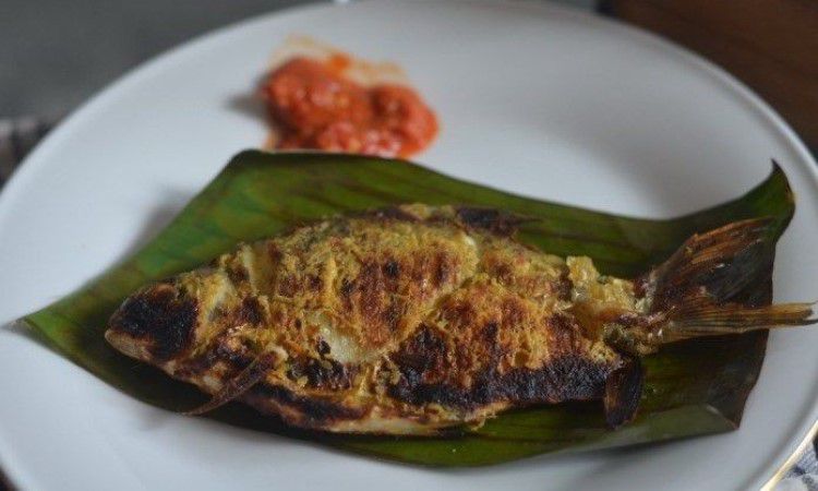 Kapiek Tak Bertulang