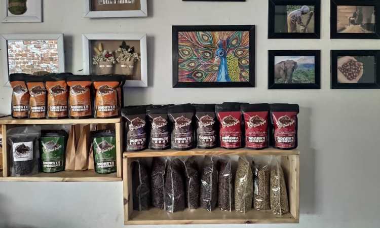 10 Oleh-Oleh Khas Lahat yang Populer