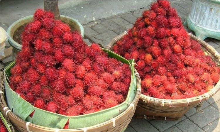 Rambutan Binjai