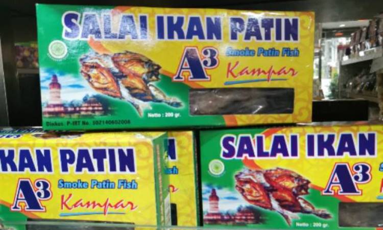 Salai Ikan Patin