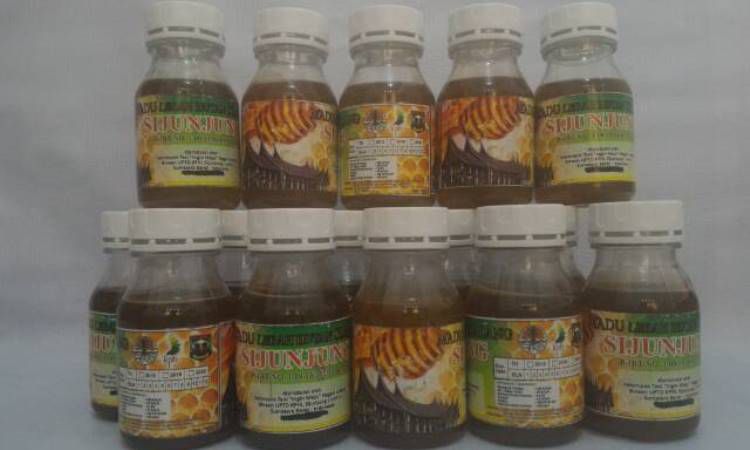 Madu Lebah Hutan Paru